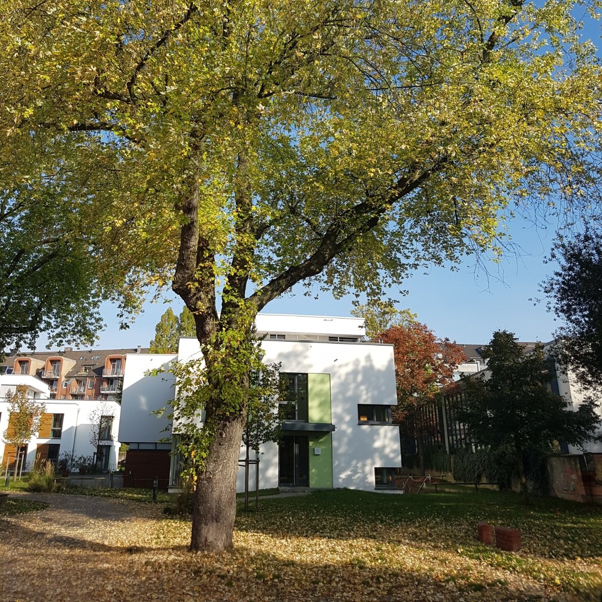 Verselbstständigungsbereich (Apartements)